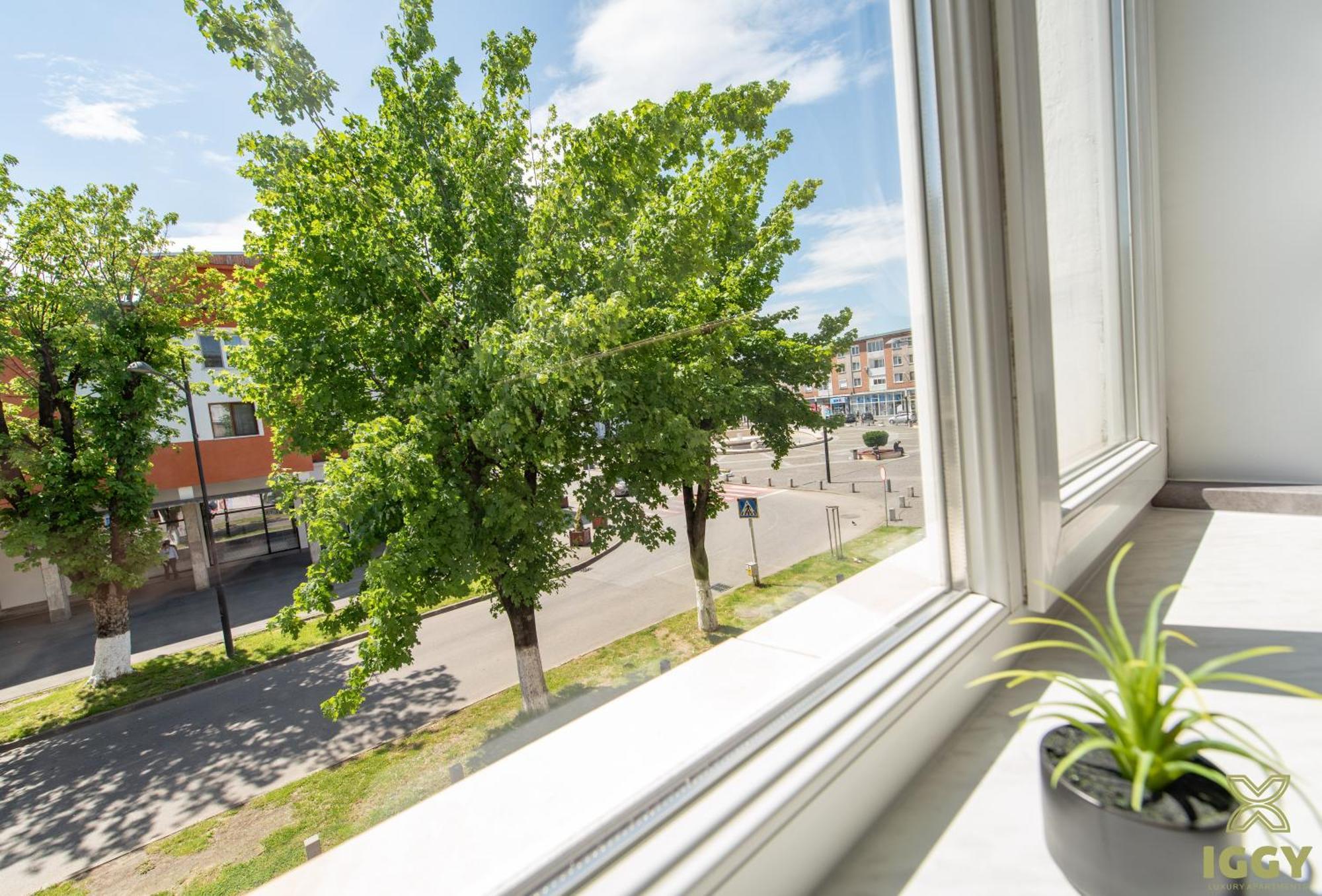 Iggy Premium Apartment Vajdahunyad Kültér fotó