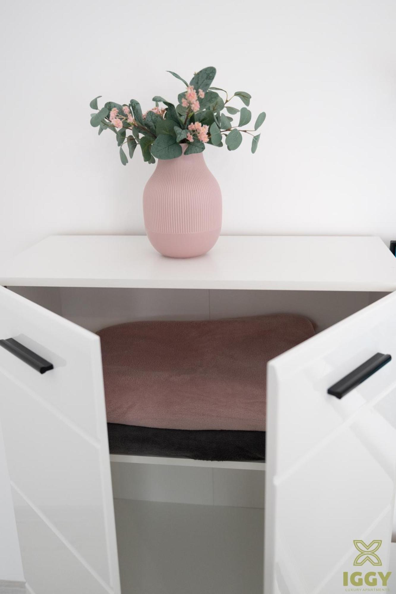 Iggy Premium Apartment Vajdahunyad Kültér fotó
