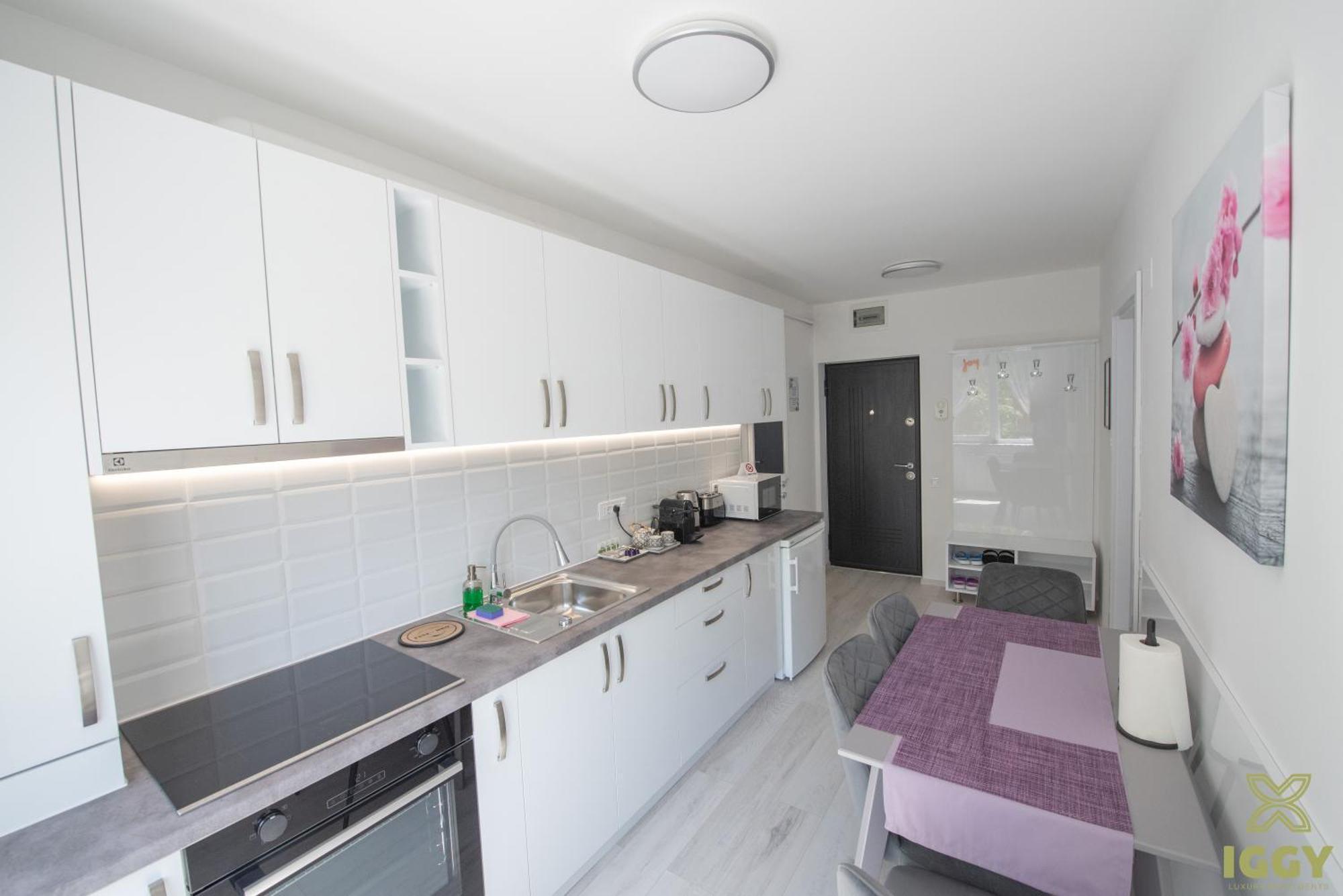 Iggy Premium Apartment Vajdahunyad Kültér fotó